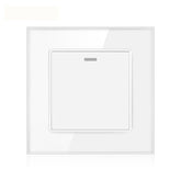 16AX 1-Gang 2-Way Light Switch - Tempered Glass